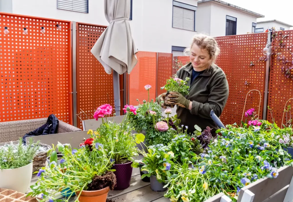 Frau in Gartenhandschuhen kreiert Blumenkompositionen auf dem Balkon und pflanzt