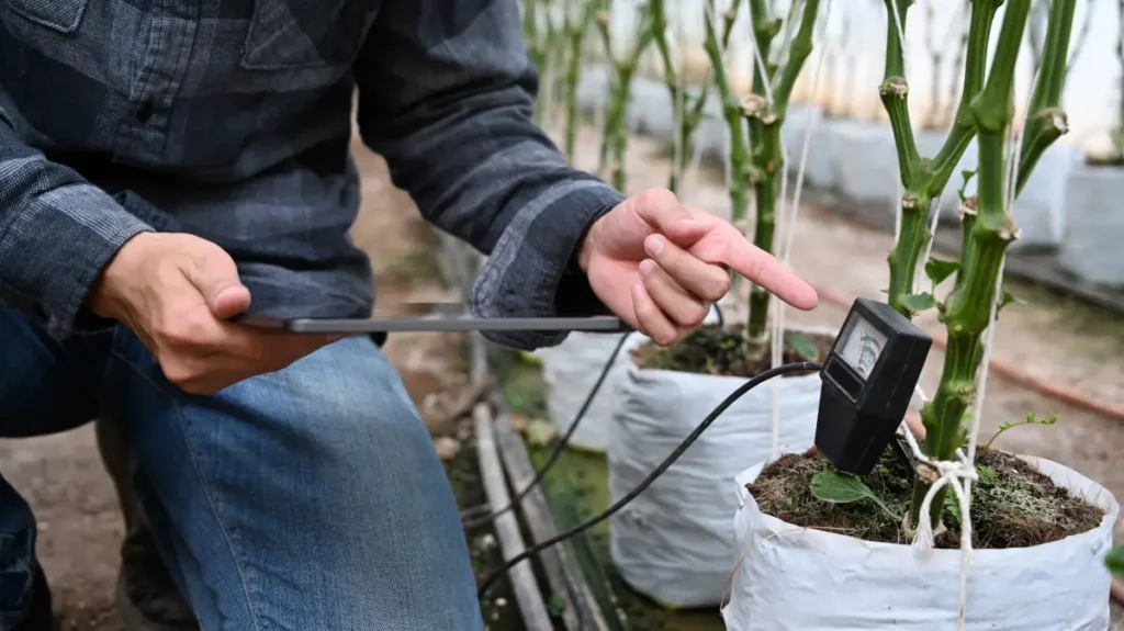 Abgeschnittene Aufnahme eines Agronomen mit digitalem Tablet und Bodenmesser überprüfen den pH-Wert