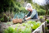 Die optimale Erde für ein blühendes Gemüsebeet – Tipps aus der Praxis