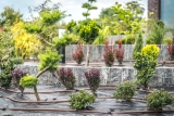 Was ist Tropfbewässerung? Ein Komplettguide für effiziente Gartenbewässerung