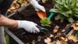 Ich mache meine Blumenkästen winterfest – Schritt für Schritt