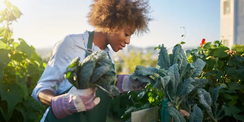 Urbanes Gärtnern für Anfänger – Ein Leitfaden für blühende städtische Oasen