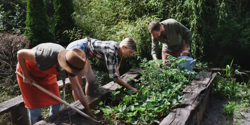 Nachhaltige Gartenprojekte in der Stadt