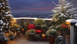 Mit robusten Pflanzen für den Balkon winterfest ins neue Jahr