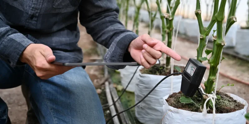 Wie ermittle ich den pH-Wert des Bodens: Ein Leitfaden zu Bodentestern