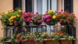 Entdecken Sie schöne Balkon Blumen für Ihr Zuhause