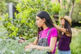 Urban Gardening in Großstädten: Nachhaltiges Gärtnern im urbanen Raum